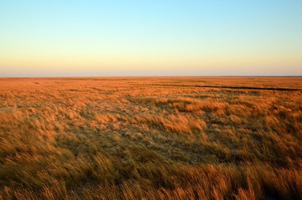 Українські Мальдіви: таємниця острова. ФОТО. ВІДЕО