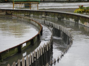 На очисних спорудах під Луцьком втопилася людина