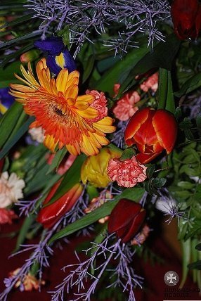 У Луцьку привітали СБУшників. ФОТО