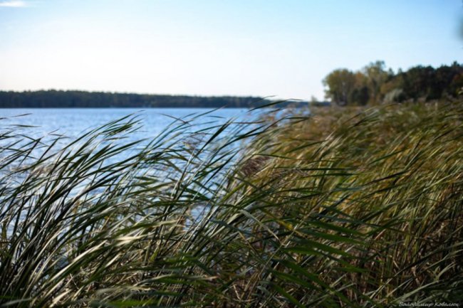 Фотограф з Рожища поділився атмосферними світлинами осіннього пейзажу