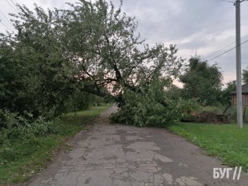 Люди лишилися без світла: на Волині вирував буревій. ФОТО