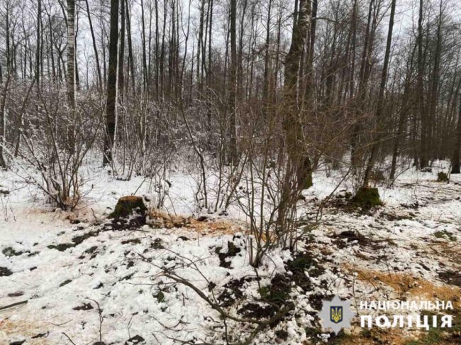 У районі на Волині затримали «чорного лісоруба». ФОТО