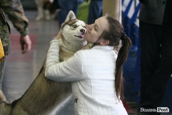 У Луцьку – виставка собак. ФОТО