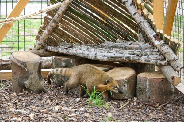 У Луцькому зоопарку - поповнення. ФОТО