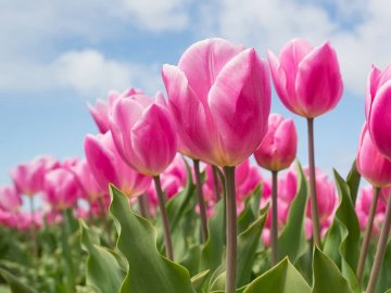 Погода на завтра, 17 березня, у Луцьку та Волинській області