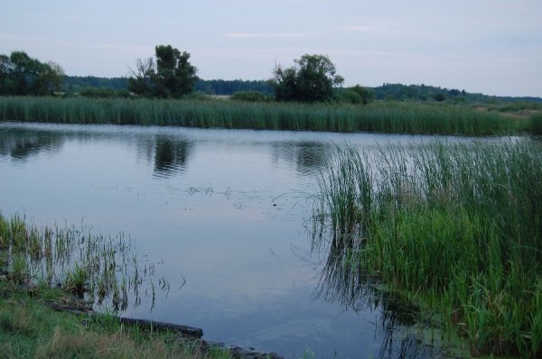 Волинська Швейцарія на кордоні з Білоруссю. ФОТО