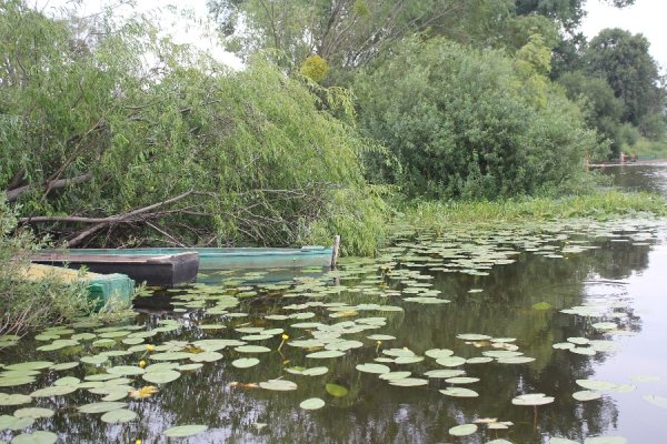 Волинська Швейцарія на кордоні з Білоруссю. ФОТО