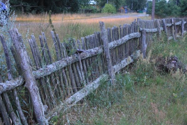 Волинська Швейцарія на кордоні з Білоруссю. ФОТО