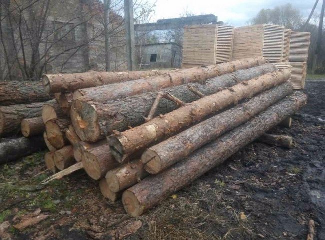 На пилорамі волинянина вилучили «підозрілу» деревину 