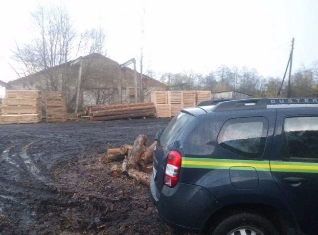 На пилорамі волинянина вилучили «підозрілу» деревину 