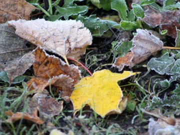 Атмосферні світлини морозного ранку у волинському місті. ФОТО