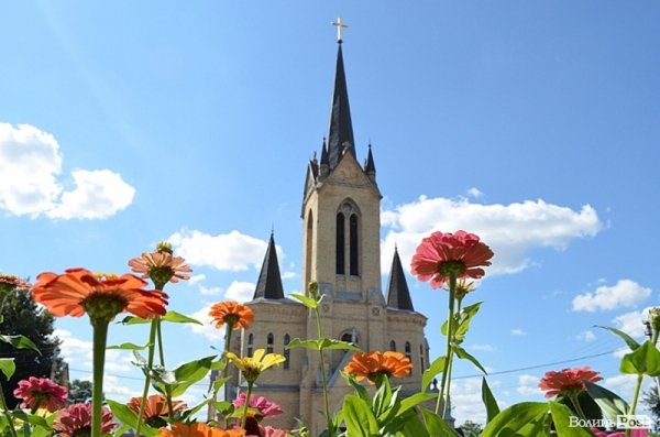 Місто, яке я люблю. Квіти Луцька
