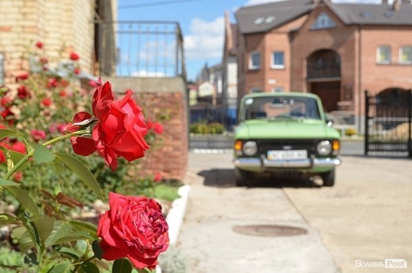 Місто, яке я люблю. Квіти Луцька