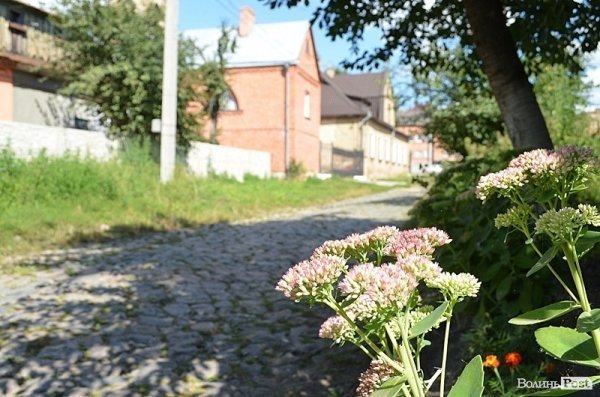 Місто, яке я люблю. Квіти Луцька