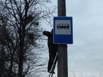 У Луцьку просять повернути зупинки біля Центрального ринку