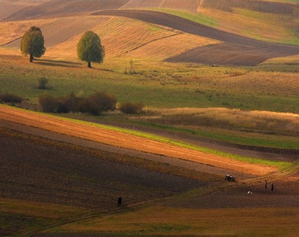 Фотовиставка Тараса Цибуха