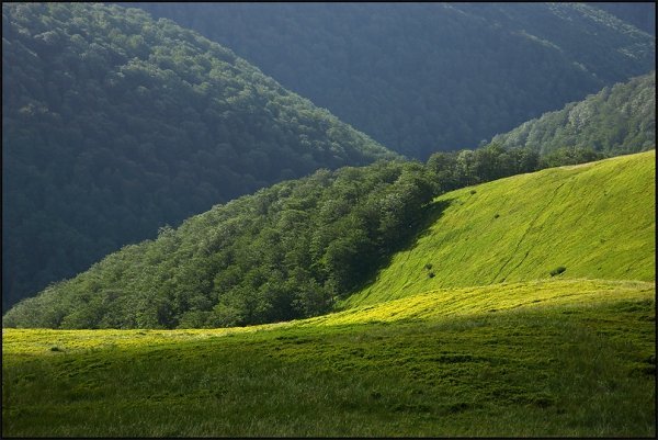 Фотовиставка Тараса Цибуха