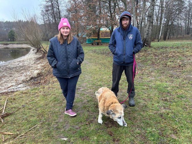 «Таємний Санта для безпритульних тварин»: волинські активісти збирають корм для собак і котів