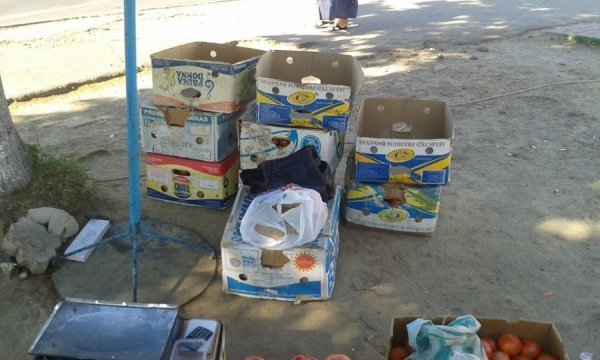 Луцькому зоопарку та госпіталю віддадуть півтонни конфіскованих овочів. ФОТО