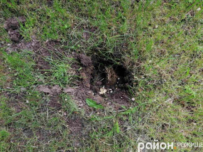 У місті на Волині з навчально-реабілітаційного центру викрали туї