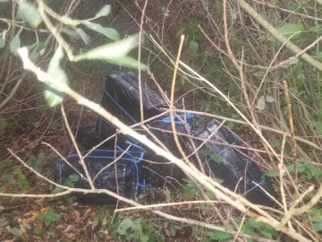 У лісі на Волині знайшли контрабандні цигарки, замасковані у кущах. ВІДЕО. ФОТО