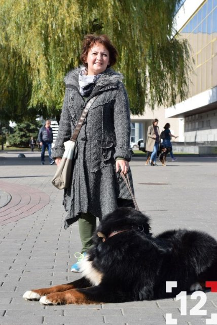 У Луцьку влаштували перший в Європі парад-фестиваль бернських зенненхундів. ФОТО