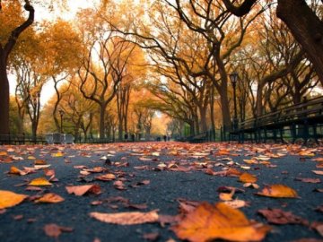 Погода в Луцьку та Волинській області на понеділок, 25 листопада