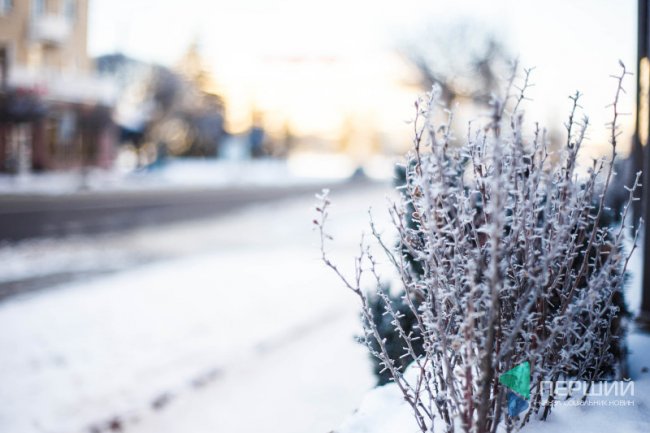 Мерехтливий сніг і кришталевий іній: Луцьк опинився у морозному полоні. ФОТО