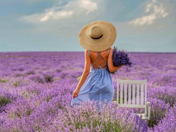 Погода в Луцьку та Волинській області на середу, 15 липня