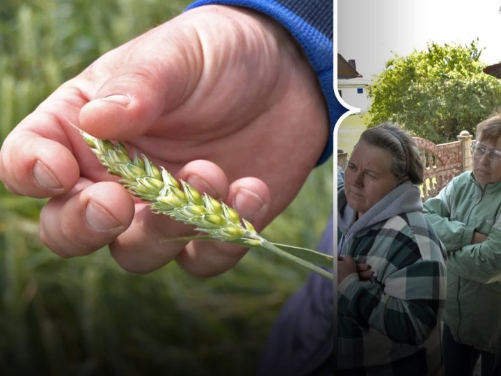 Право на землю: жителі трьох сіл на Волині судяться з орендарем за свої паї