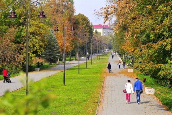 «Бабине літо» і «бебі-бум» Луцьку. ФОТО