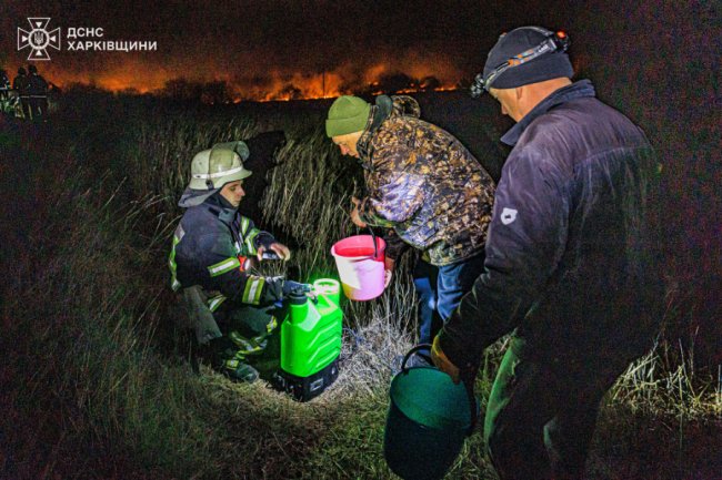 Через пожежу сухостою мало не згоріло село під Харковом