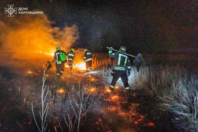 Через пожежу сухостою мало не згоріло село під Харковом