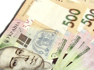 Стало відомо, скільки коштувала охорона лісів від копачів бурштину