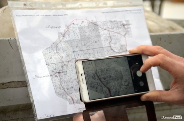 Як у «Цуманській пущі» рахували зубрів 