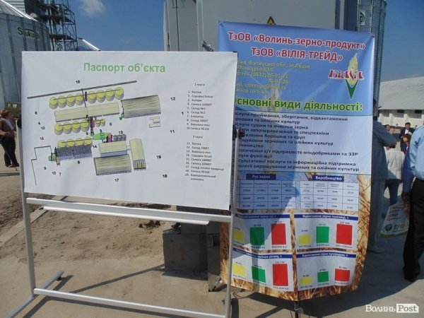 День поля на «Волинь-зерно-продукті». ФОТО*