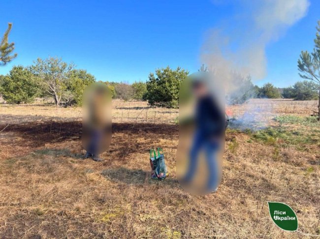 На Волині порушники підпалили самосійний ліс. ФОТО
