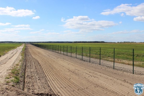 На українсько-білоруському кордоні тривають демаркаційні роботи. ФОТО