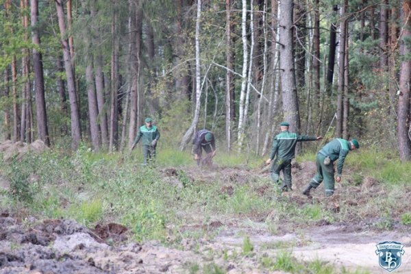 На українсько-білоруському кордоні тривають демаркаційні роботи. ФОТО