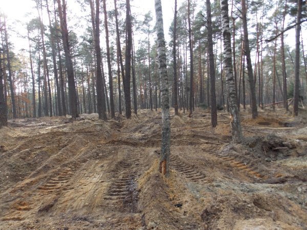 Бурштин на Волині - під охороною. ФОТО