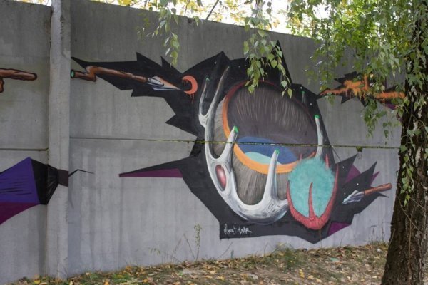 Що намалювали на стінах у Луцьку під час графіті-фестивалю «Алярм». ФОТО