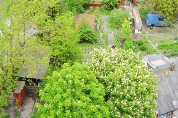 Луцьк з В'їзної вежі замку. ФОТО