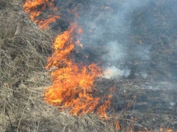 Через спалювання трави на Волині – пожежі