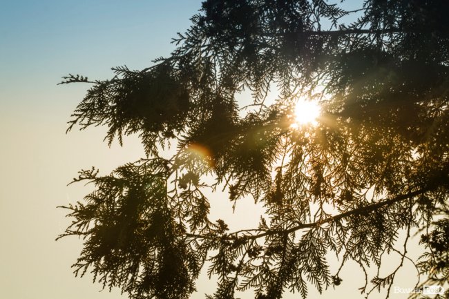 У Луцьку – майже весна. ФОТОРЕПОРТАЖ