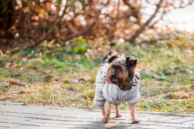 У Луцьку – майже весна. ФОТОРЕПОРТАЖ