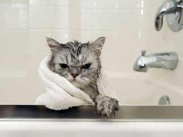 Мікрорайон у Луцьку на три дні залишився без гарячої води