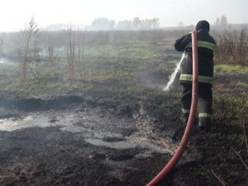 Пожежу на торфовищі поблизу Горохова гасили рятувальники та дощ