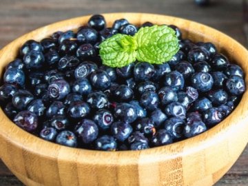 В районі на Волині виписали лісових квитків на понад 500 тонн чорниці