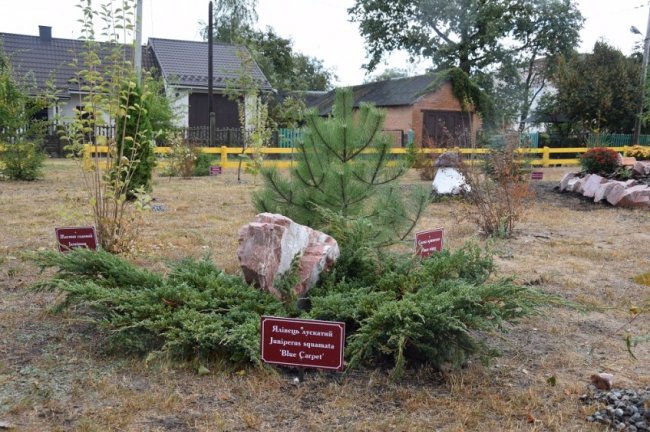 На Волині лісівники спільно з громадою облаштували дендропарк. ФОТО