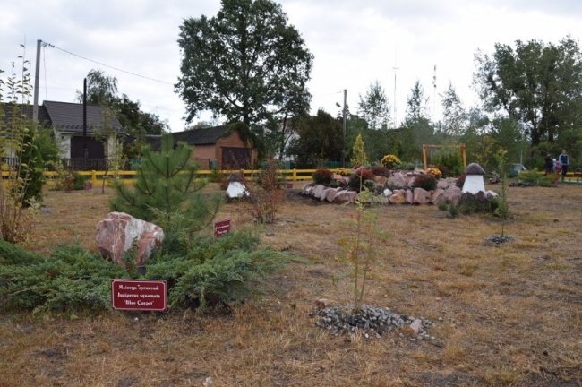 На Волині лісівники спільно з громадою облаштували дендропарк. ФОТО